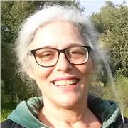 Música y Materias musicales